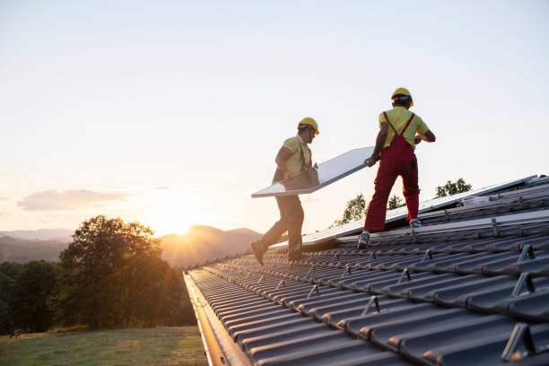 Best Storm Damage Roof Repair  in Maple Lake, MN