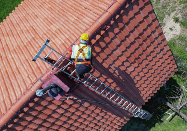 Best Roof Moss and Algae Removal  in Maple Lake, MN